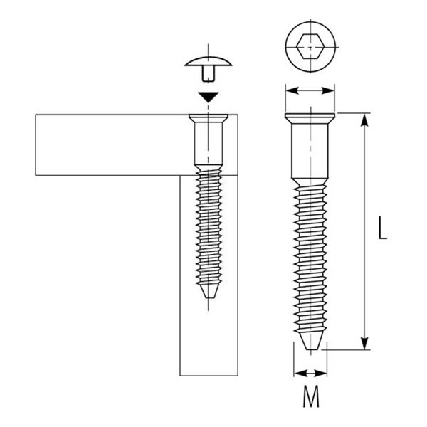 Конфірмат GTV 6.4*50 мм WK-CF6450-01 хром. Фото 2