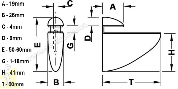 Полицетримач пелікан середній золото. Фото 2