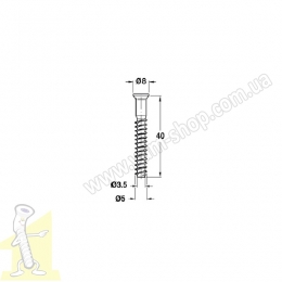Конфiрмат 5*40 мм оцинкований. Фото 3