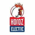 HOROZ